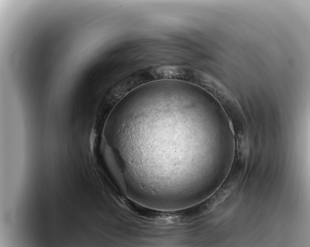 X0000093420760200710191005