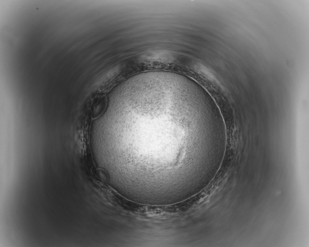 X0000093420774200710191005