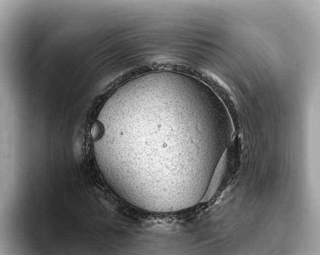 X0000093420775200710191005