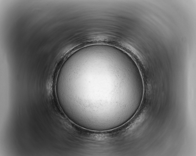 X0000093420778200710191005