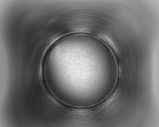 X0000093420780200710191005