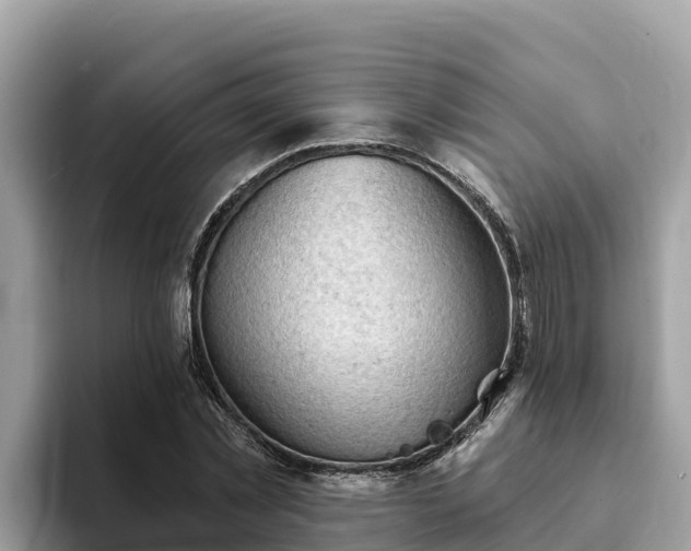 X0000093420781200710191005