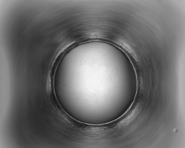 X0000093420782200710191005