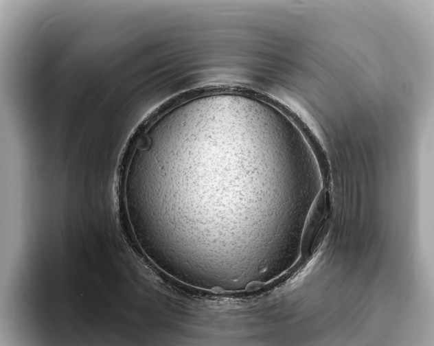X0000093420783200710191004