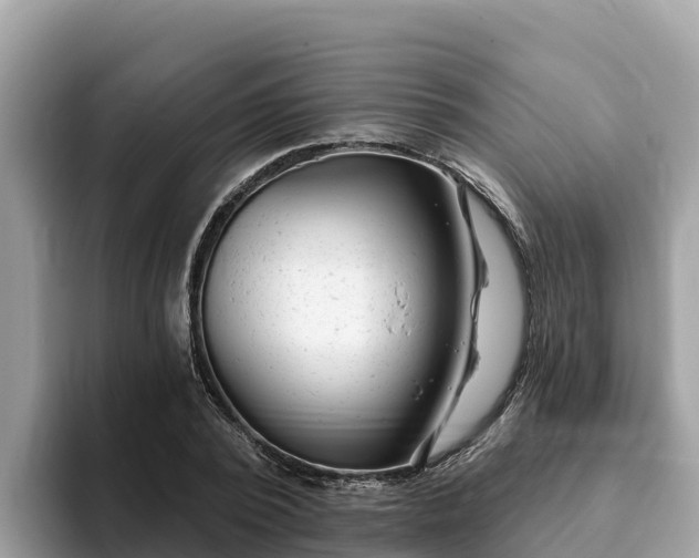 X0000093420784200710191004