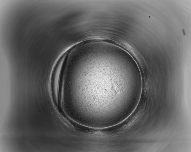 X0000093420787200710191004