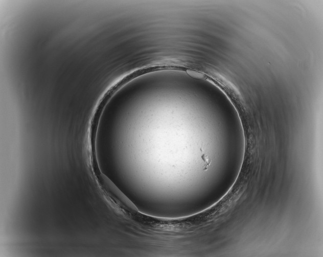 X0000093420792200710191004