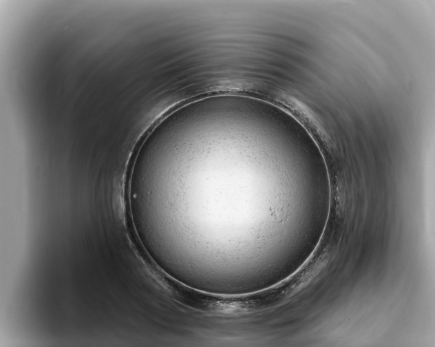 X0000093420794200710191004
