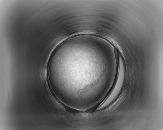 X0000093420797200710191004