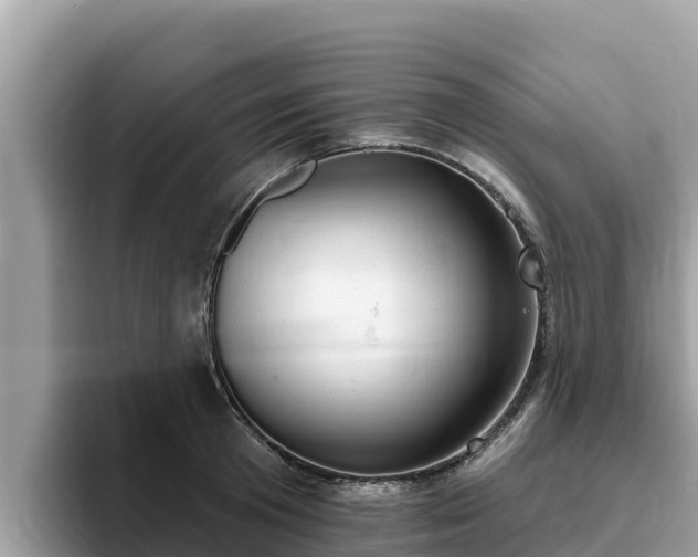 X0000093420801200710191004