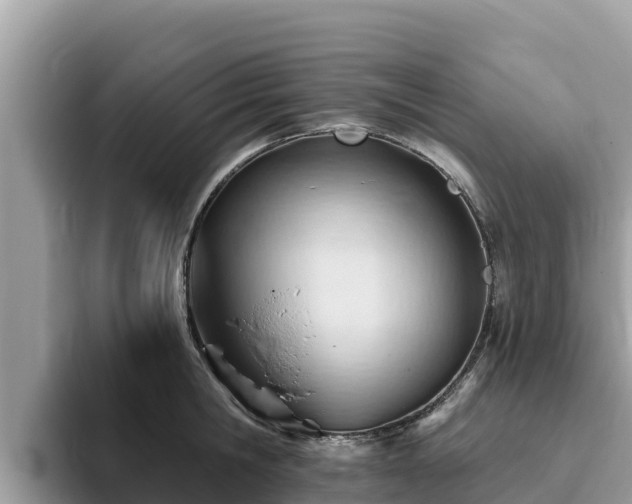 X0000093420806200710191004