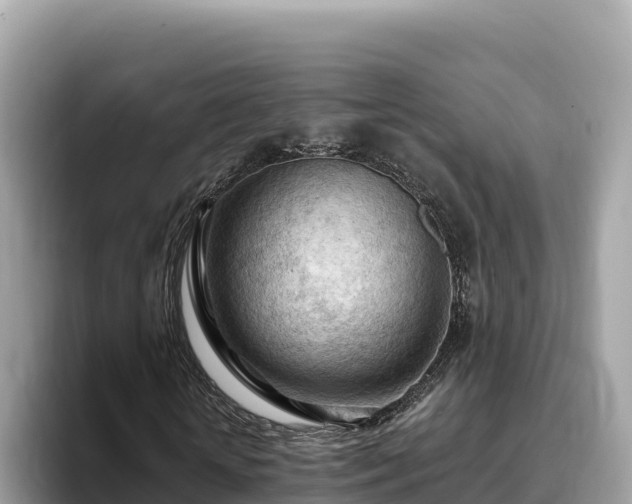 X0000093420818200710191003