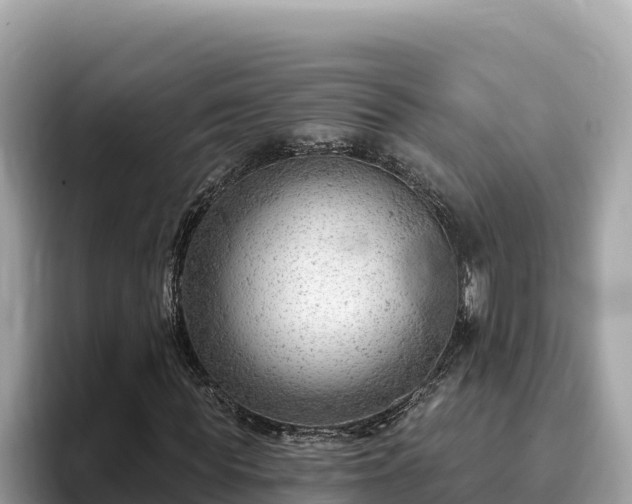 X0000093420819200710191003