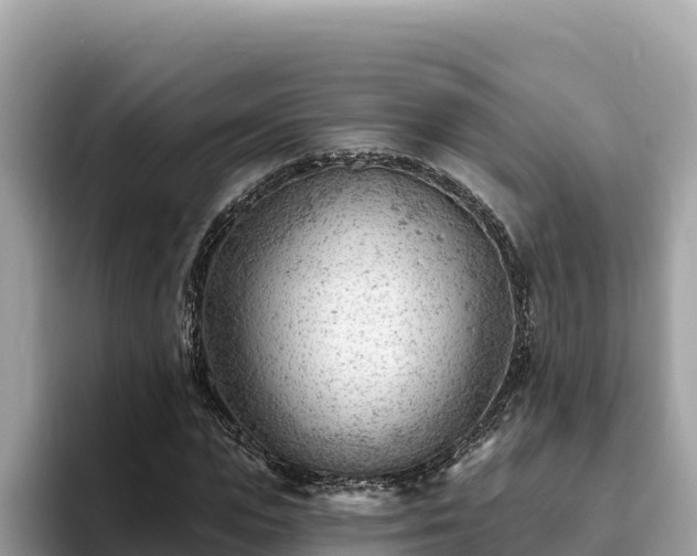 X0000093420823200710191003
