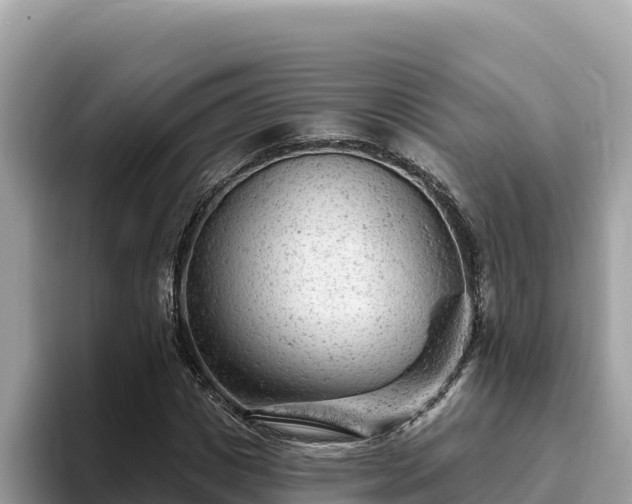 X0000093420825200710191003