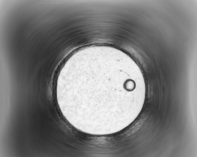 X0000093420828200710191003