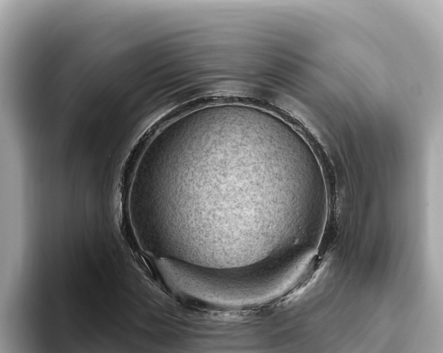X0000093420829200710191003