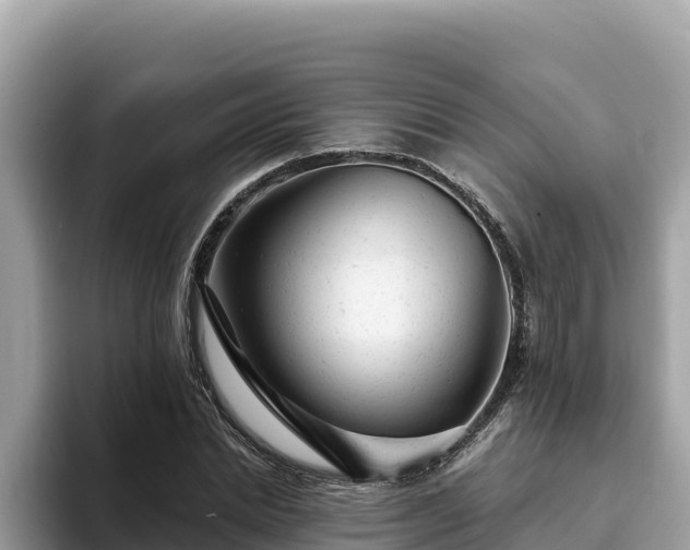 X0000093420830200710191003