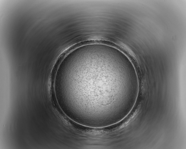 X0000093420831200710191003