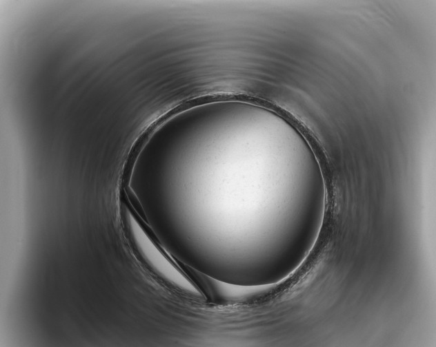 X0000093420834200710191003