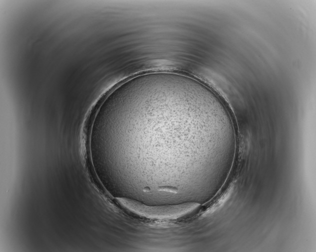 X0000093420835200710191003