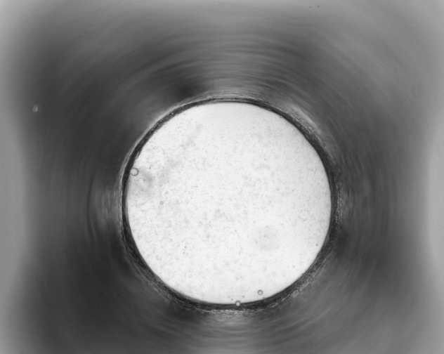 X0000093420836200710191003