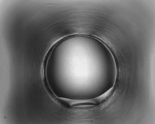 X0000093420838200710191004