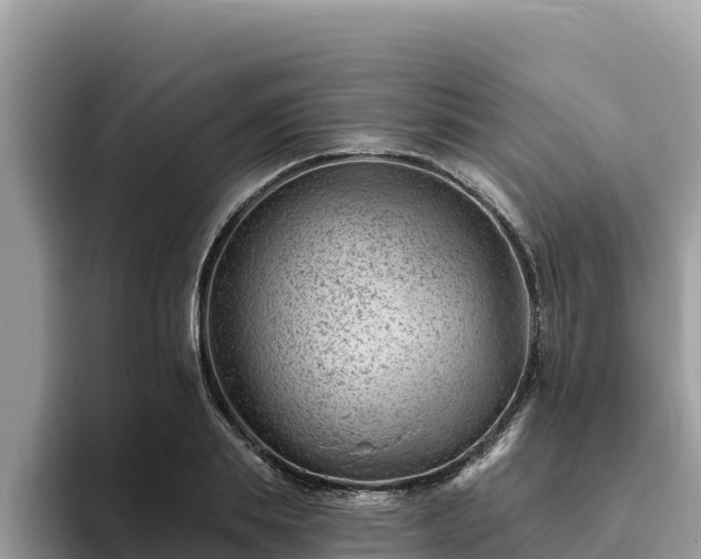 X0000093420839200710191004