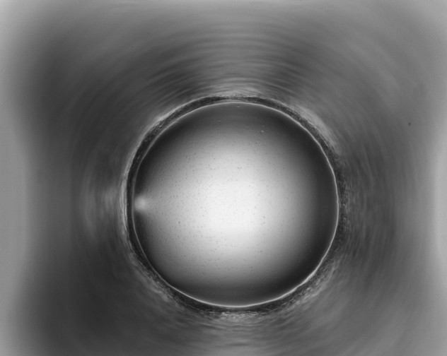 X0000093420840200710191004