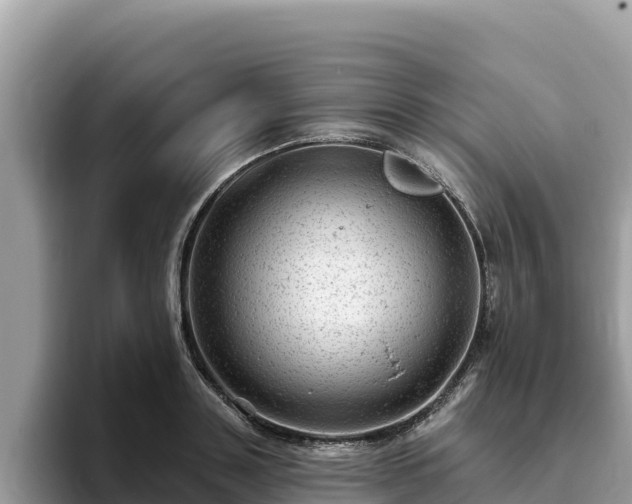 X0000093420843200710191004