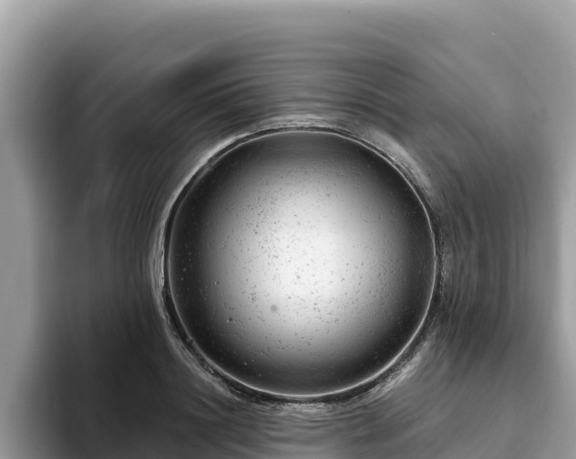 X0000093420844200710191004
