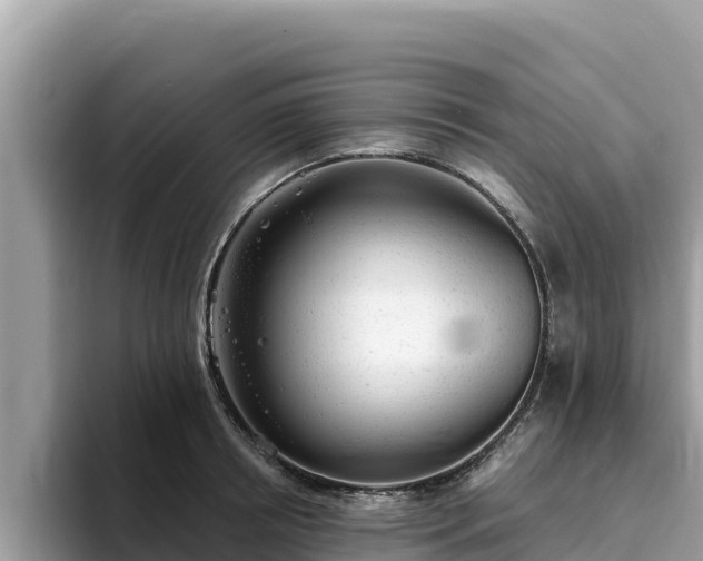 X0000093420850200710191004