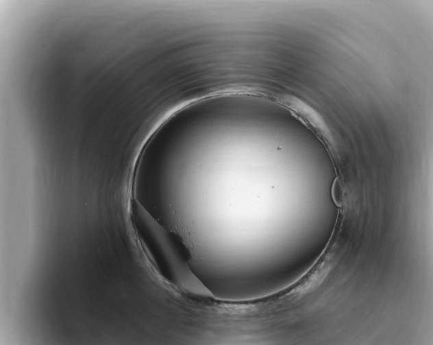 X0000093420860200710191004
