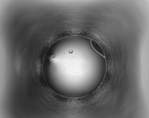 X0000093420866200710191003