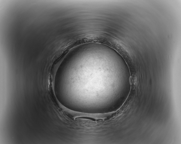 X0000093420868200710191003