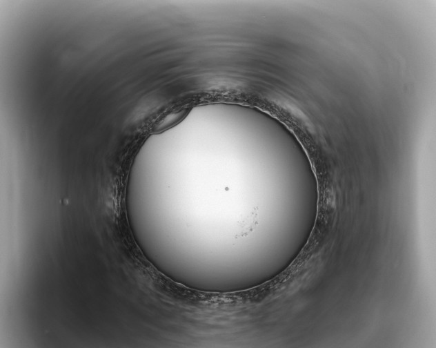 X0000093420869200710191003