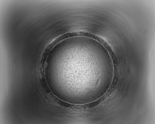 X0000093420871200710191003