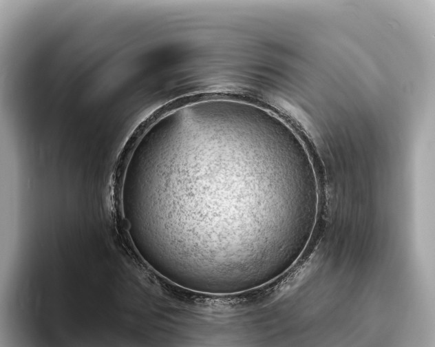 X0000093420875200710191003