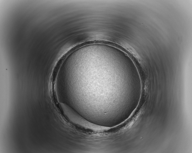 X0000093420877200710191003