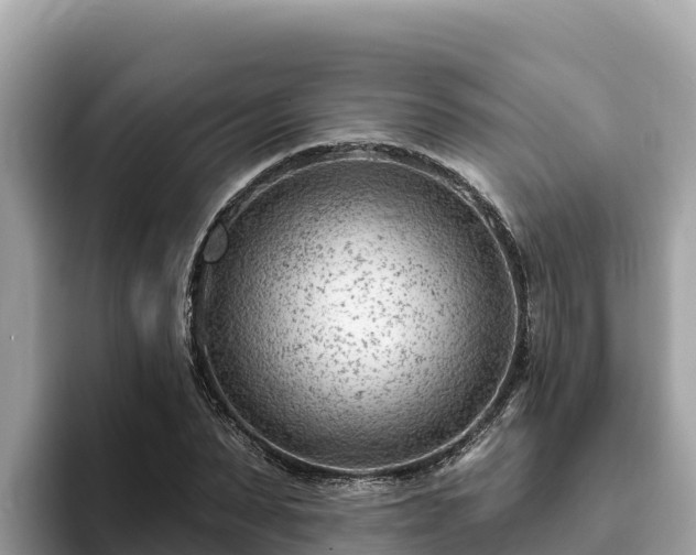 X0000093420879200710191003