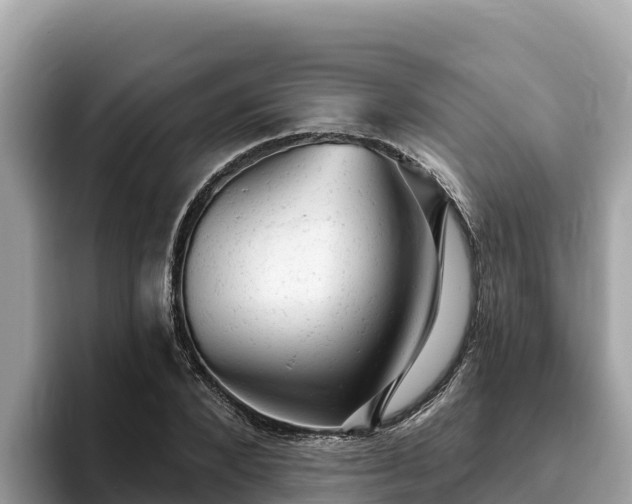 X0000093420880200710191003