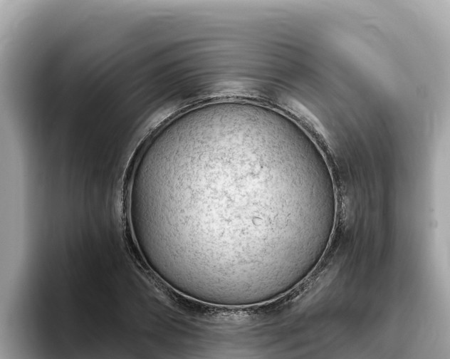 X0000093420882200710191003