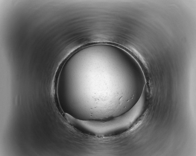 X0000093420885200710191003