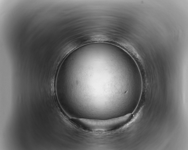 X0000093420889200710191003