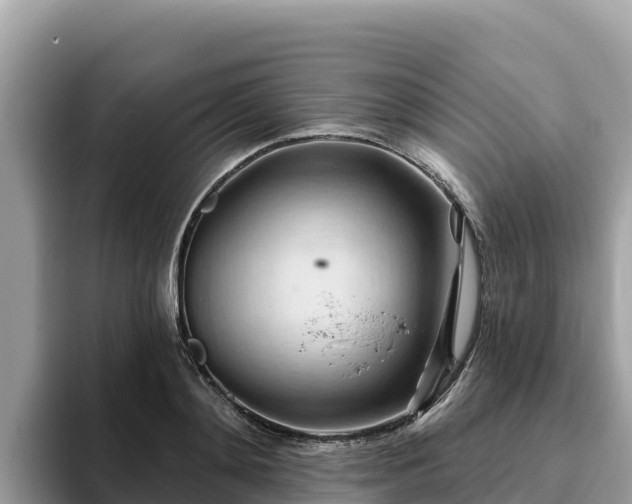 X0000093420892200710191003