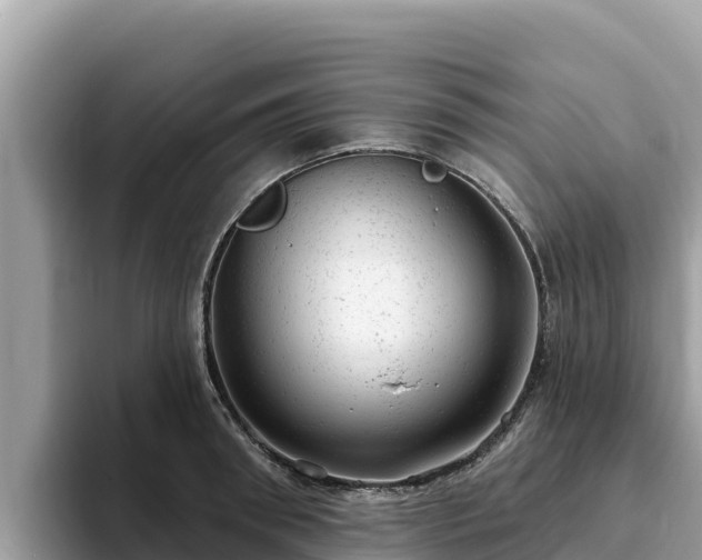 X0000093420898200710191003