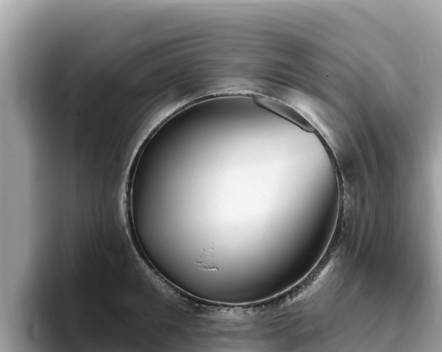 X0000093420901200710191003