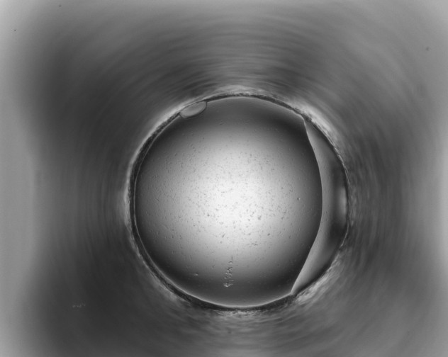 X0000093420902200710191003