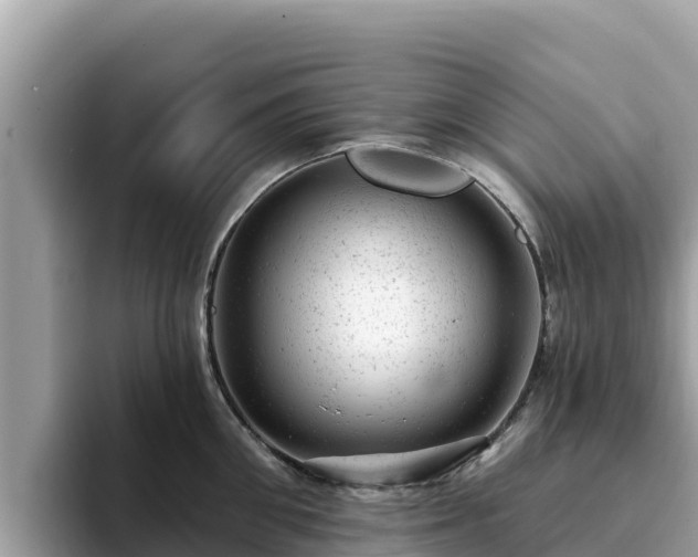 X0000093420906200710191003