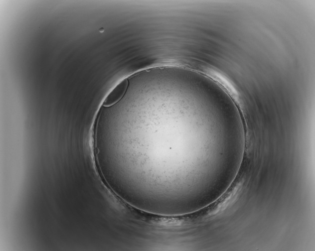 X0000093420907200710191003
